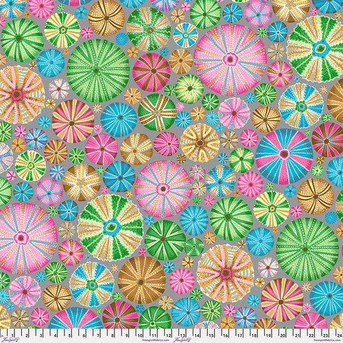 Kaffe Fassett Collective | August 2024 'Urchins' Pastel PWPJ125.PASTEL: by the 1/2m