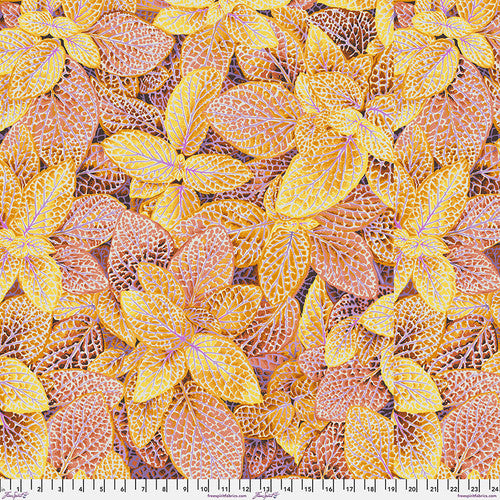 Kaffe Fassett Collective | August 2024 'Fittonia' Gold PWPJ129.GOLD: by the 1/2m